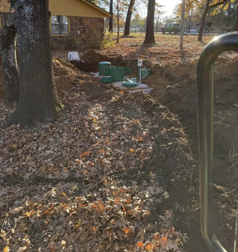 How Tree Roots Find and Destroy Your Septic Lines Every Fall