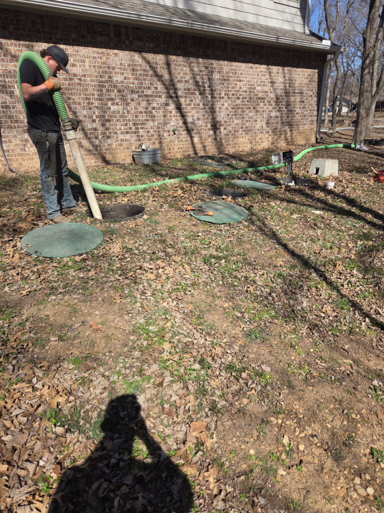 Should You Plant Trees or Shrubs Near Your Drain Field This Fall?