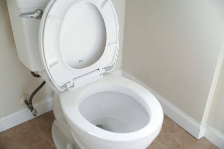 What That Rotten Egg Smell in Your Bathroom Really Means