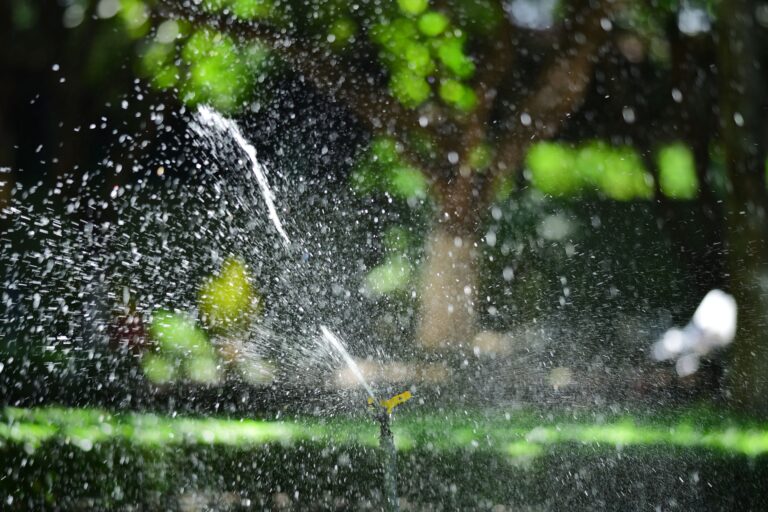 Is Your Sprinkler System Slowly Drowning Your Drain Field?